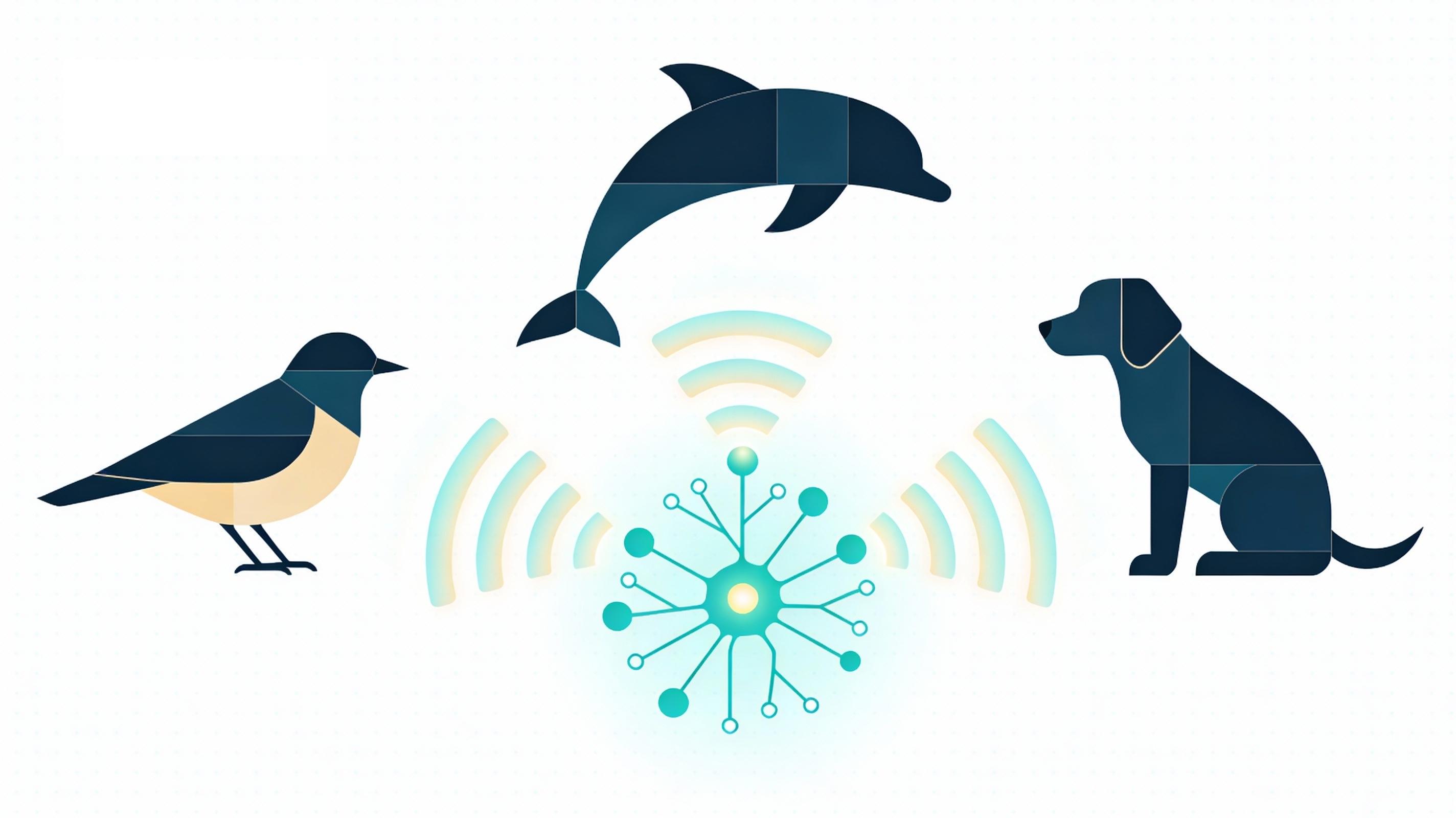 Animals communication